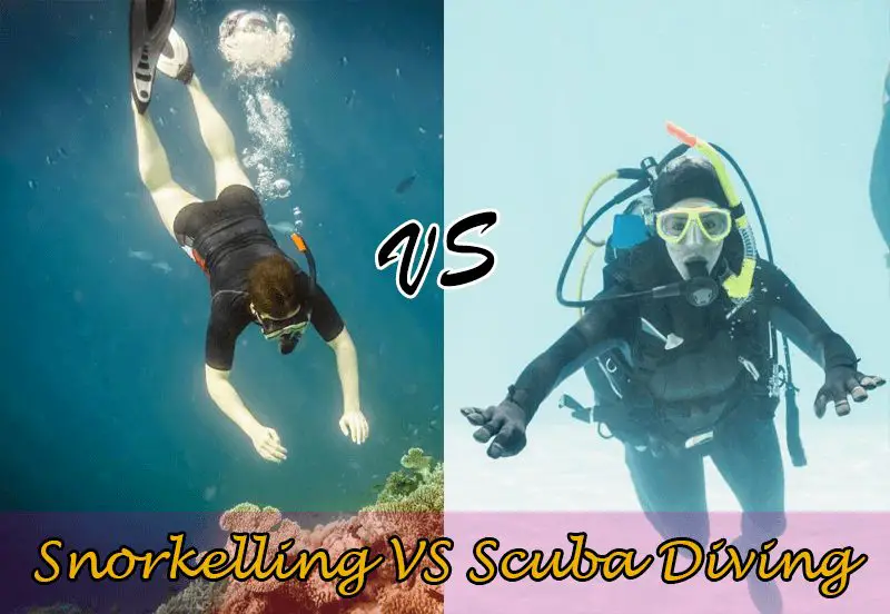 Snorkelling Vs Scuba Diving